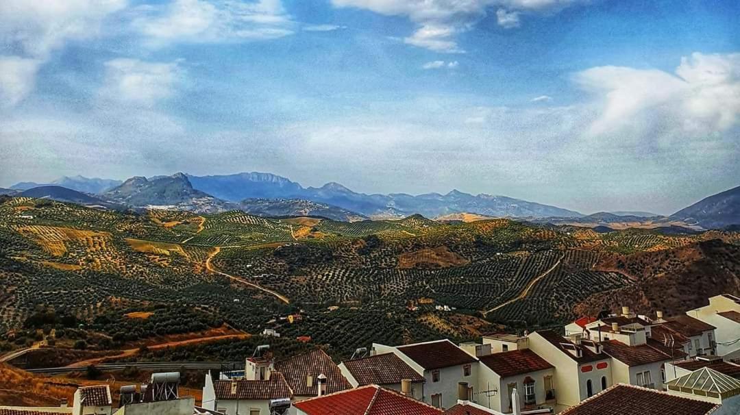 أولفيرا Olive Tree Bed And Breakfast المظهر الخارجي الصورة