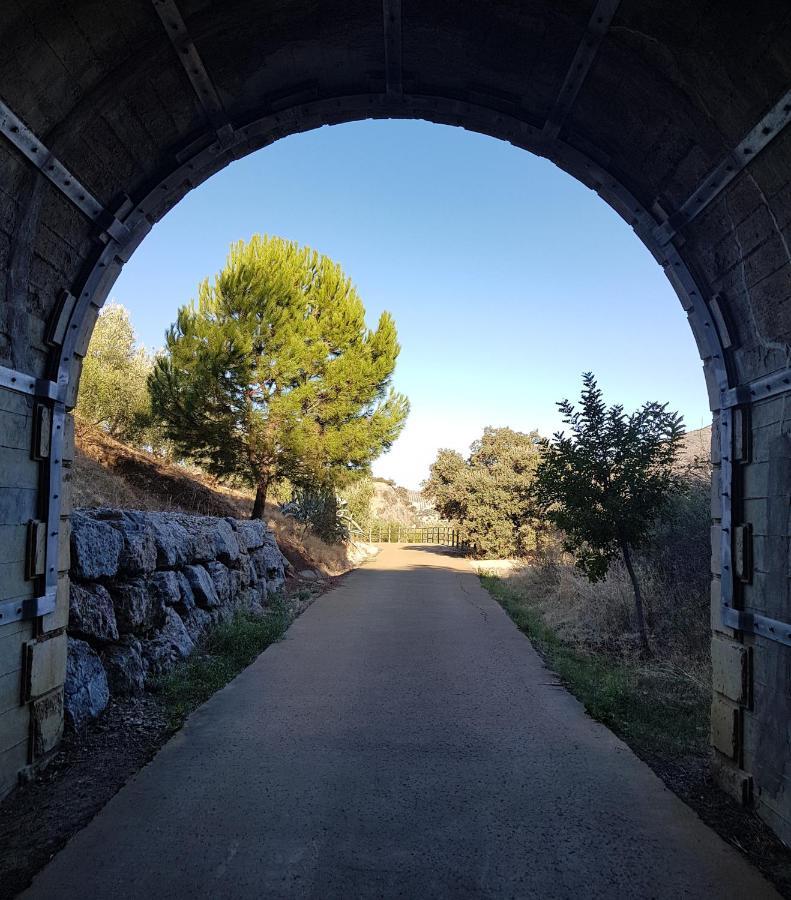 أولفيرا Olive Tree Bed And Breakfast المظهر الخارجي الصورة